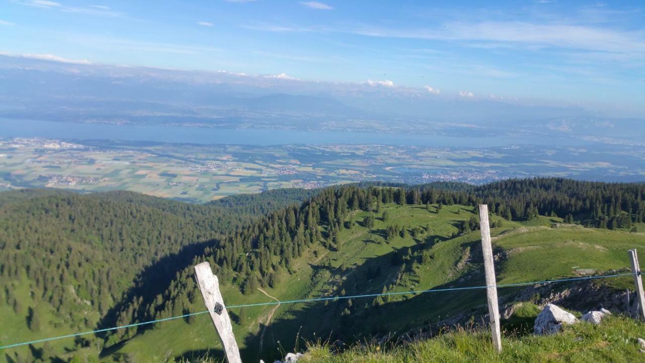 Les Chamois Leilighet Lajoux Eksteriør bilde