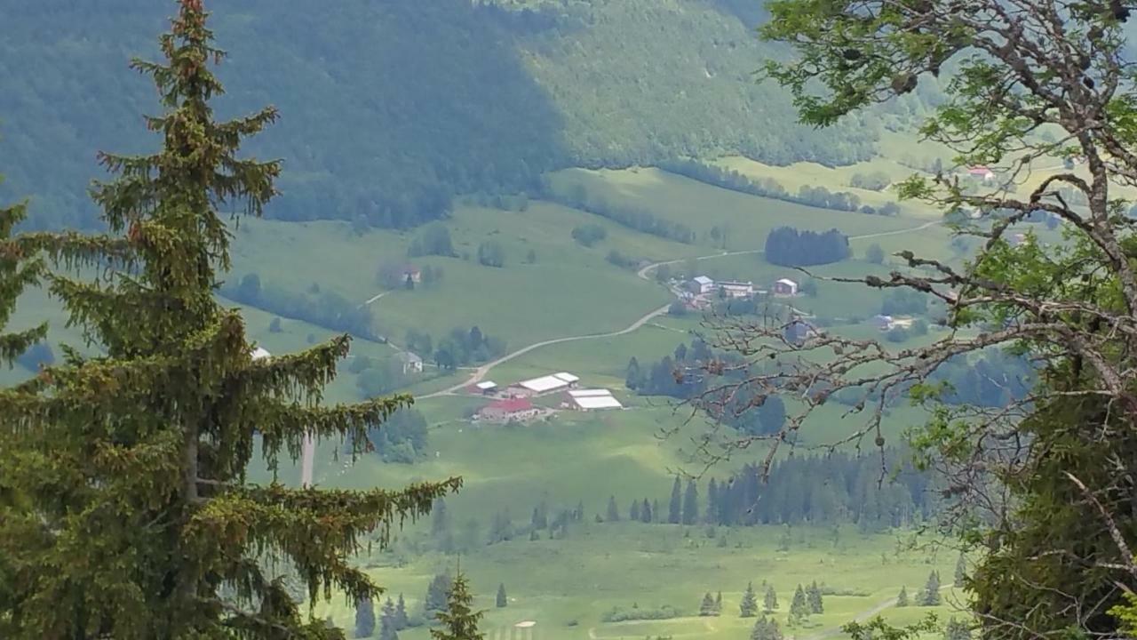 Les Chamois Leilighet Lajoux Eksteriør bilde