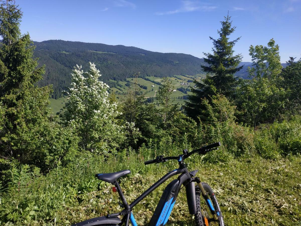 Les Chamois Leilighet Lajoux Eksteriør bilde