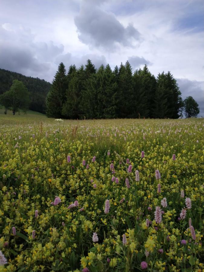 Les Chamois Leilighet Lajoux Eksteriør bilde