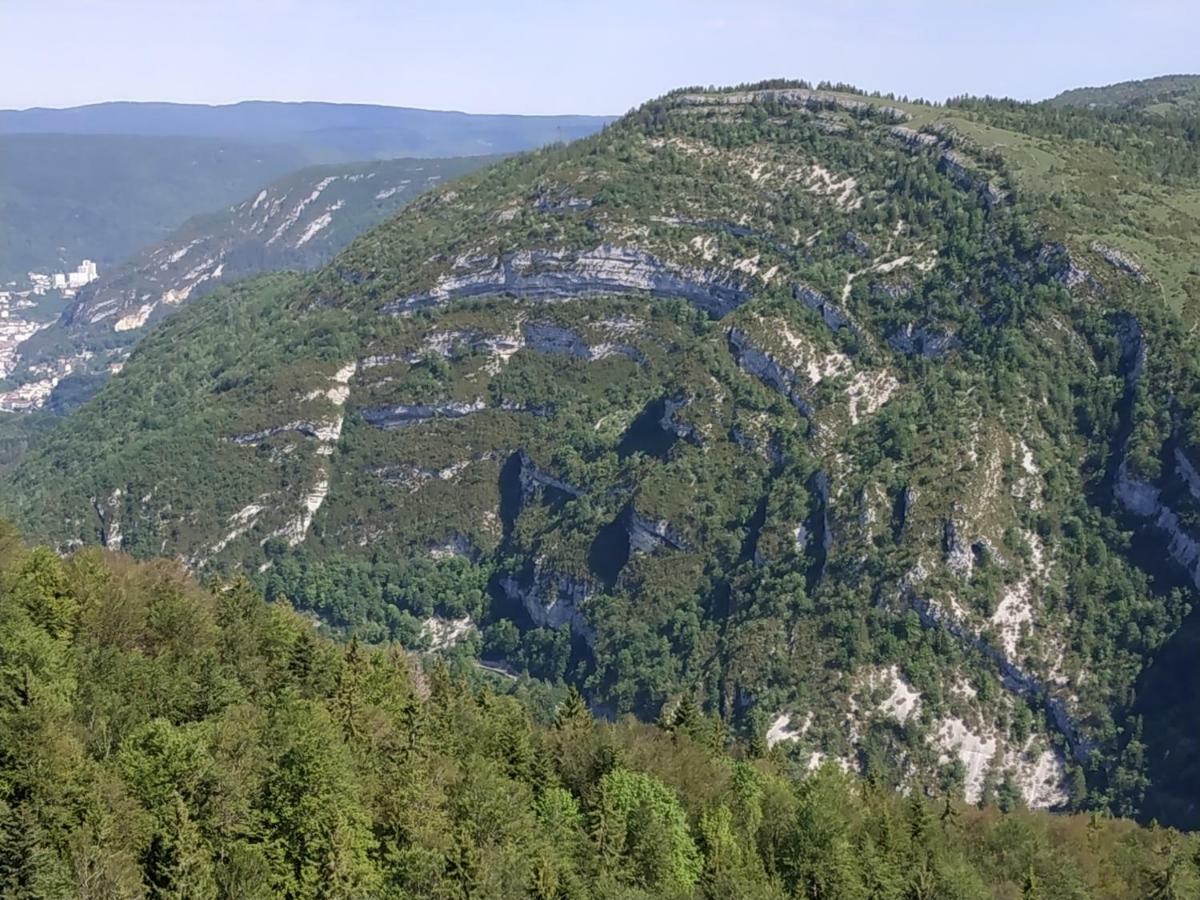 Les Chamois Leilighet Lajoux Eksteriør bilde