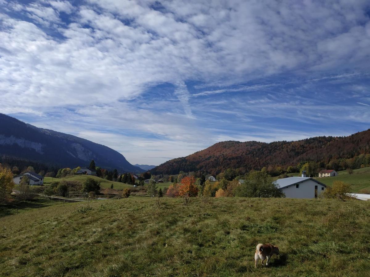 Les Chamois Leilighet Lajoux Eksteriør bilde